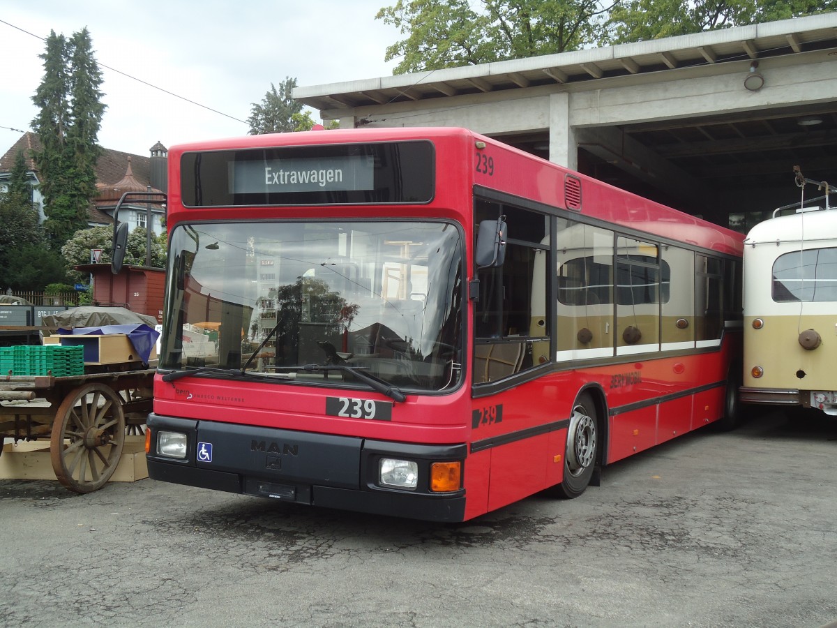 (135'155) - Bernmobil, Bern - Nr. 239 - MAN am 14. Juli 2011 in Bern, Depot Burgernziel