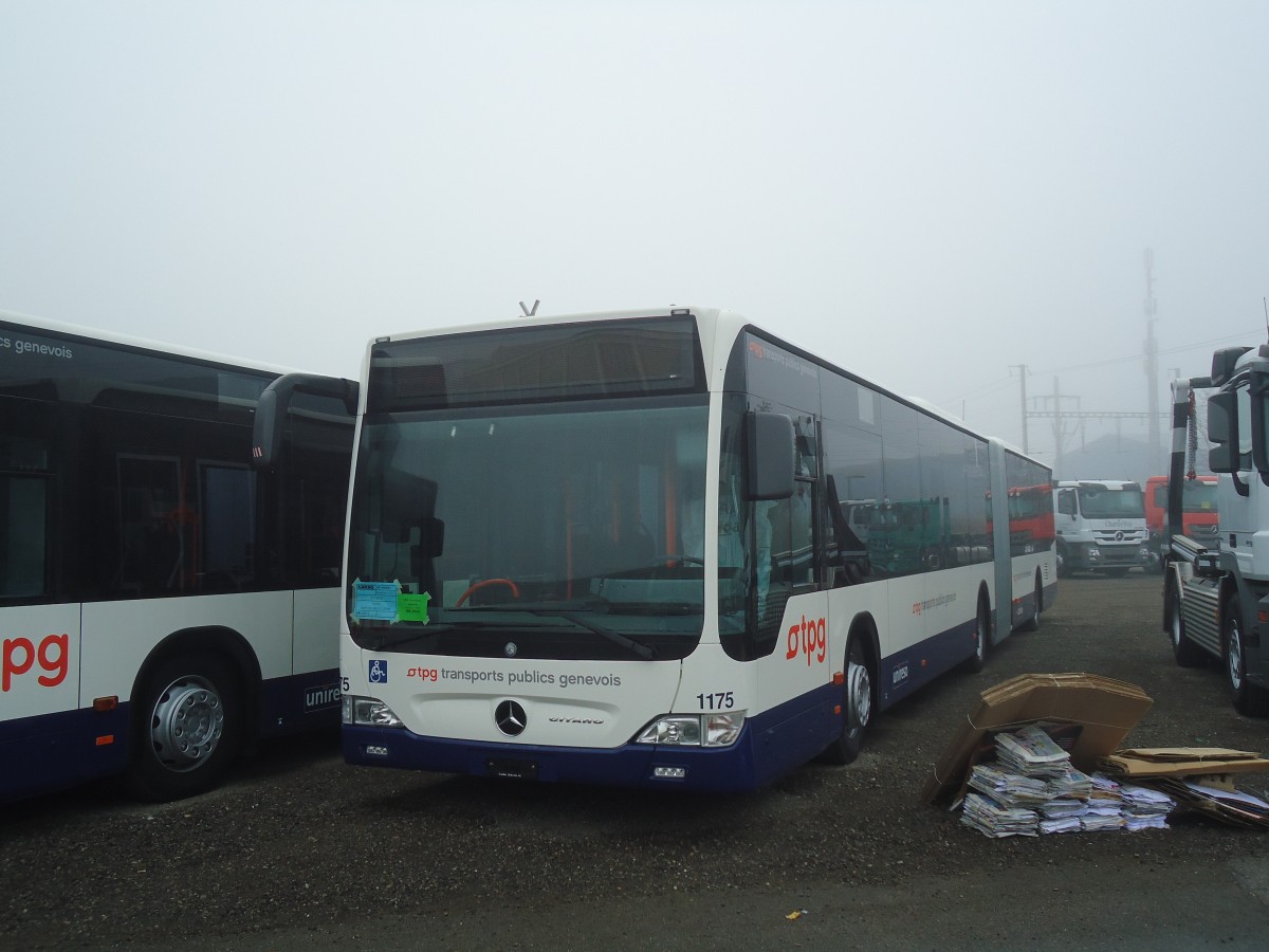 (136'881) - TPG Genve - Nr. 1175 - Mercedes am 23. November 2011 in Wil, Larag