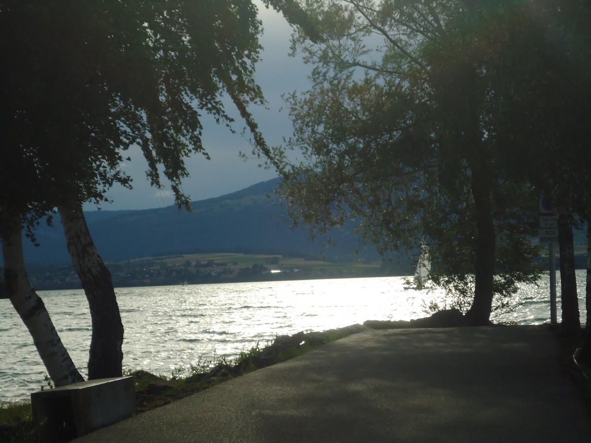 (140'671) - Am Neuenburgersee am 19. Juli 2012 in Yvonand