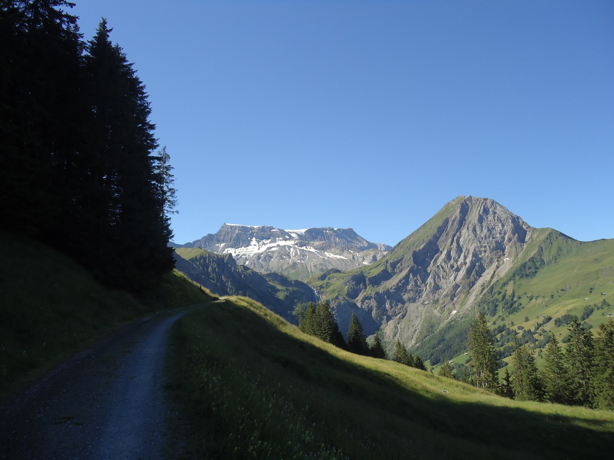 (140'976) - Der Wildstrubel und Fitzer am 1. August 2012 vom Laueli bei Adelboden aus