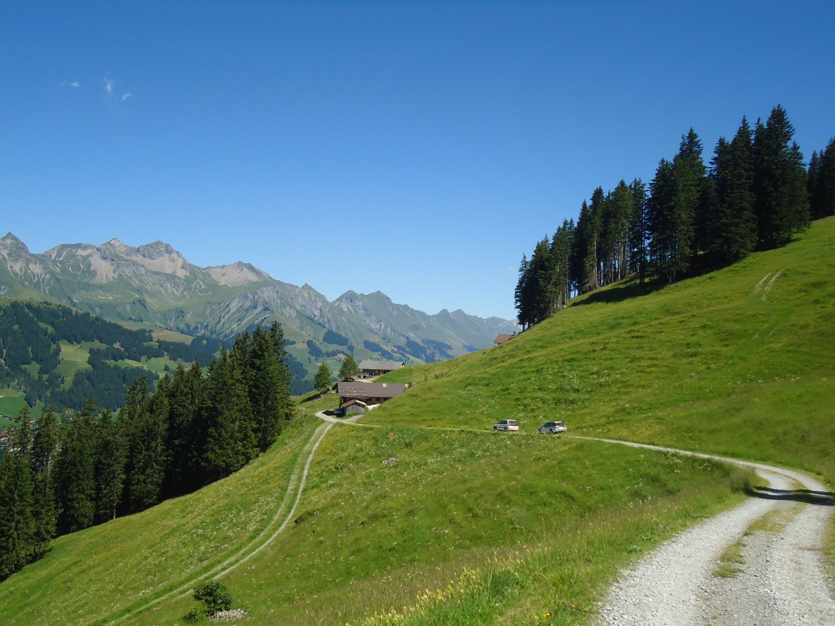 (140'980) - Blick auf die Niesenkette am 1. August 2012 von der Alp Laueli aus