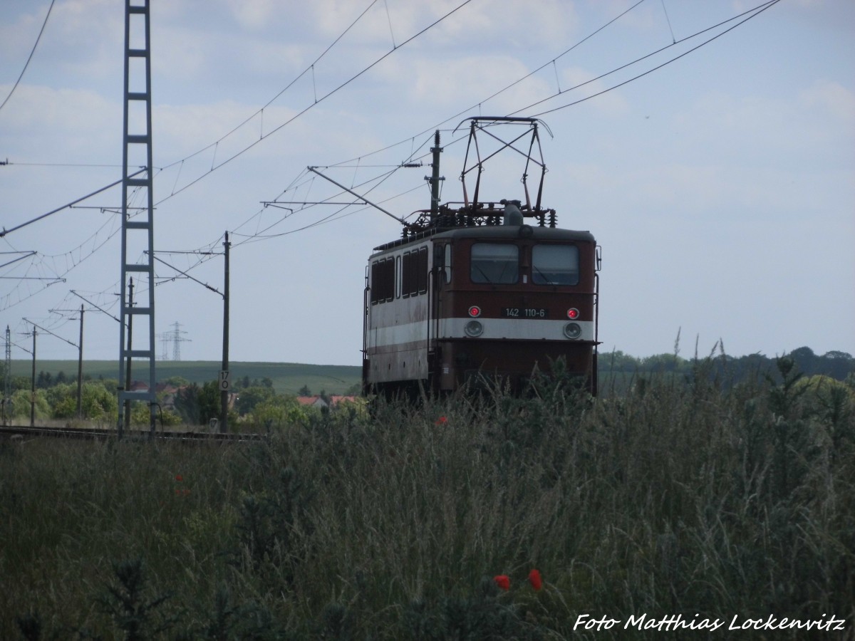 142 110 der Erfurter Bahnservice (EBS) zwischen Teutschenthal und Teutschenthal (Ost) am 4.6.15