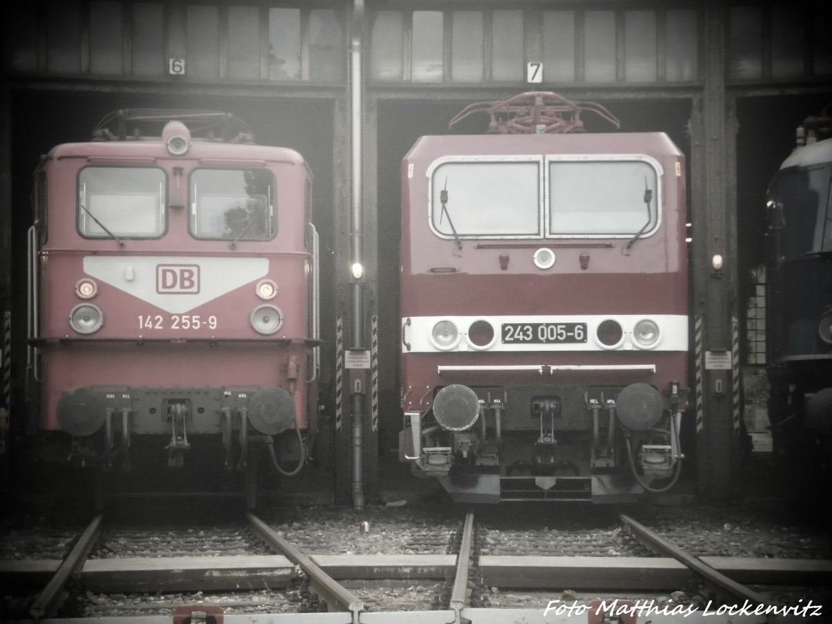 142 255 und 243 005 im DB Museum Halle (Saale) am 4.7.15