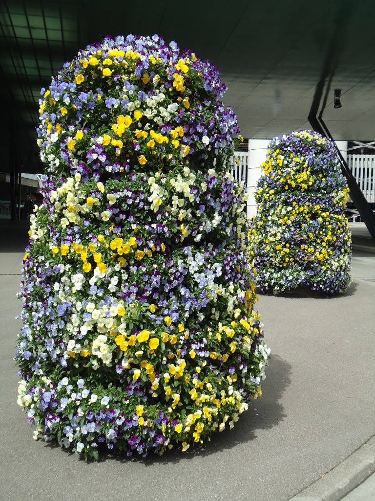 (144'396) - Blumens�ulen beim Flughafen Z�rich am 20. Mai 2013