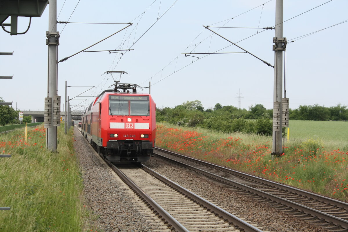 146 028 mit dem RE30 mit ziel Magdeburg Hbf bei der Einfahrt in Zberitz am 9.6.21
