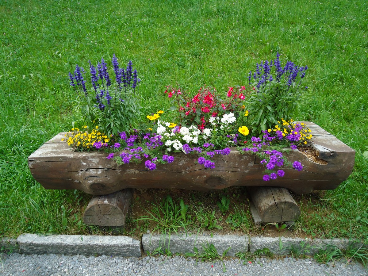 (146'142) - Blumentr�gli an der Lenk am 28. Juli 2013