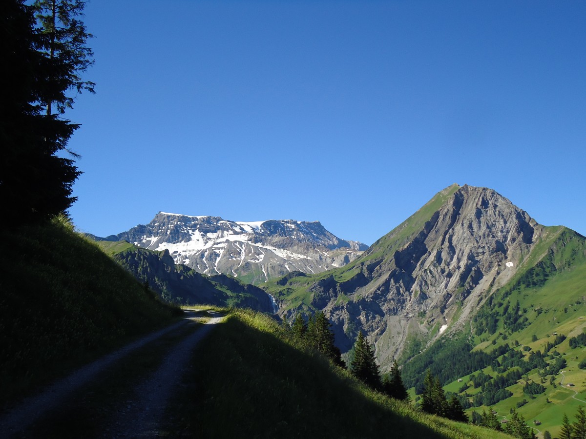 (146'159) - Der Wildstrubel und Fitzer am 1. August 2013 vom Laueli ob Adelboden aus