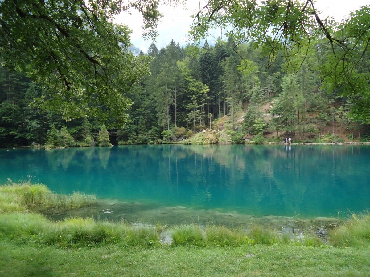 (146'176) - Der Blausee am 3. August 2013
