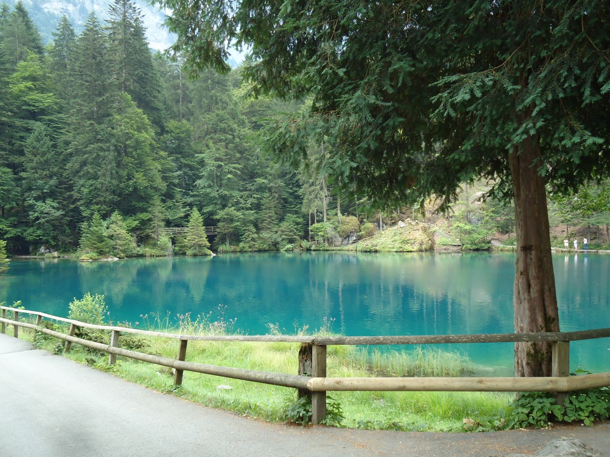 (146'195) - Der Blausee am 3. August 2013