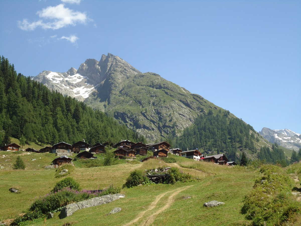 (146'240) - Chalets bei Blatten im L�tschental am 5. August 2013