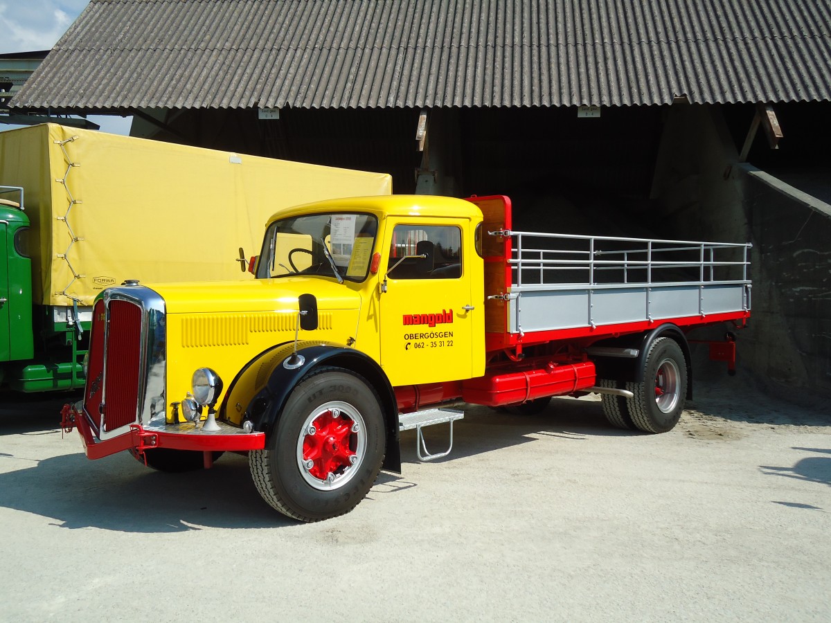 (146'696) - Mangold, Oberg�sgen - SO 73'582 - Berna am 31. August 2013 in Niederbipp, Saurertreffen