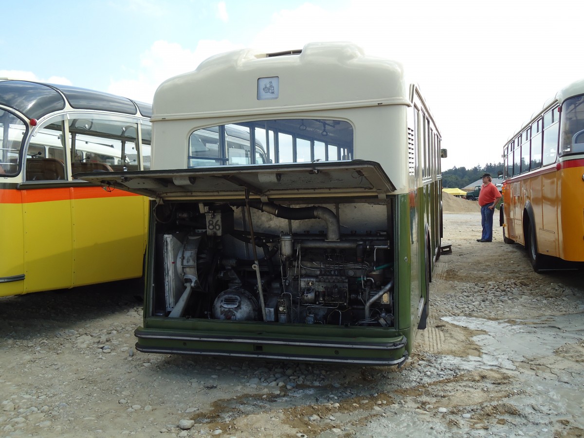 (146'746) - SVB Bern (TVB) - Nr. 86/BE 648'522 - Saurer/FFA am 31. August 2013 in Niederbipp, Saurertreffen