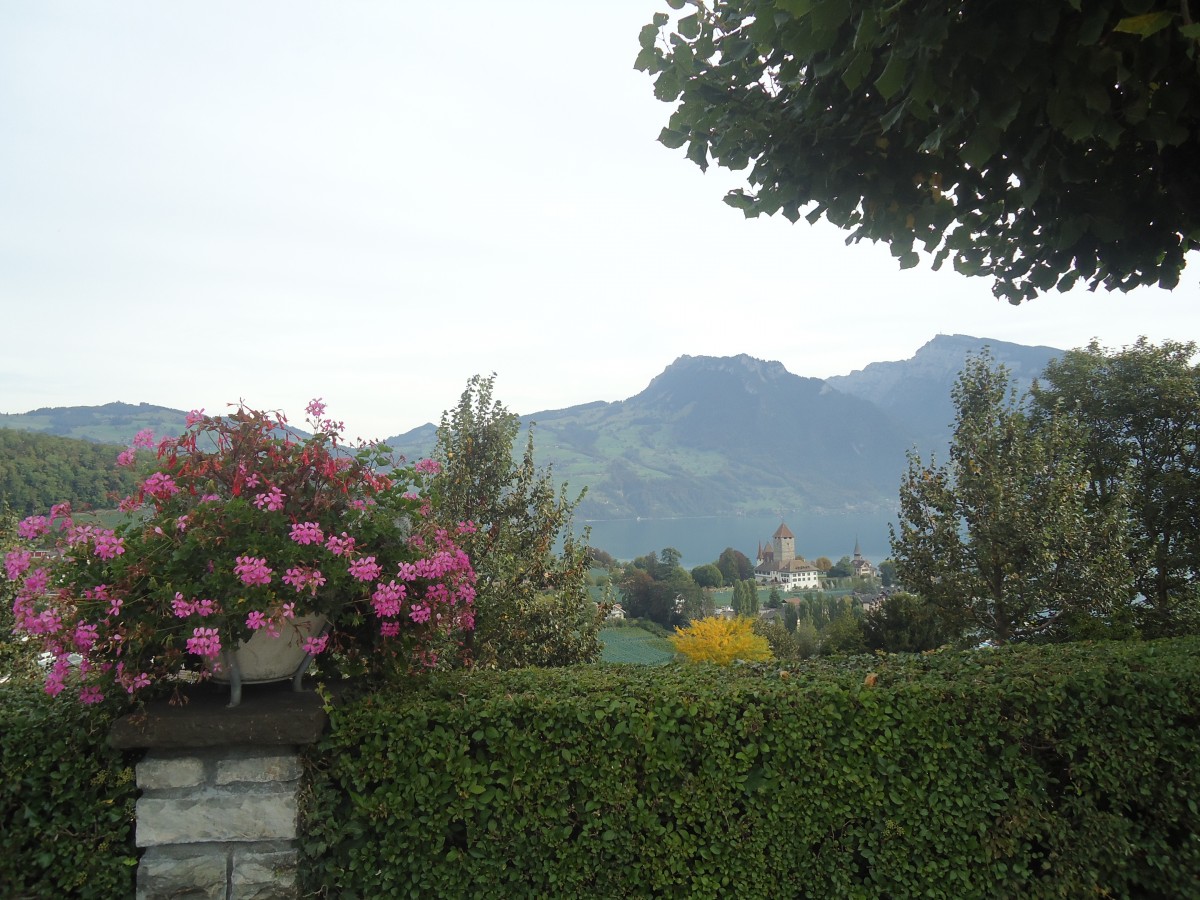 (147'372) - Das Schloss Spiez am Thunersee am 28. September 2013