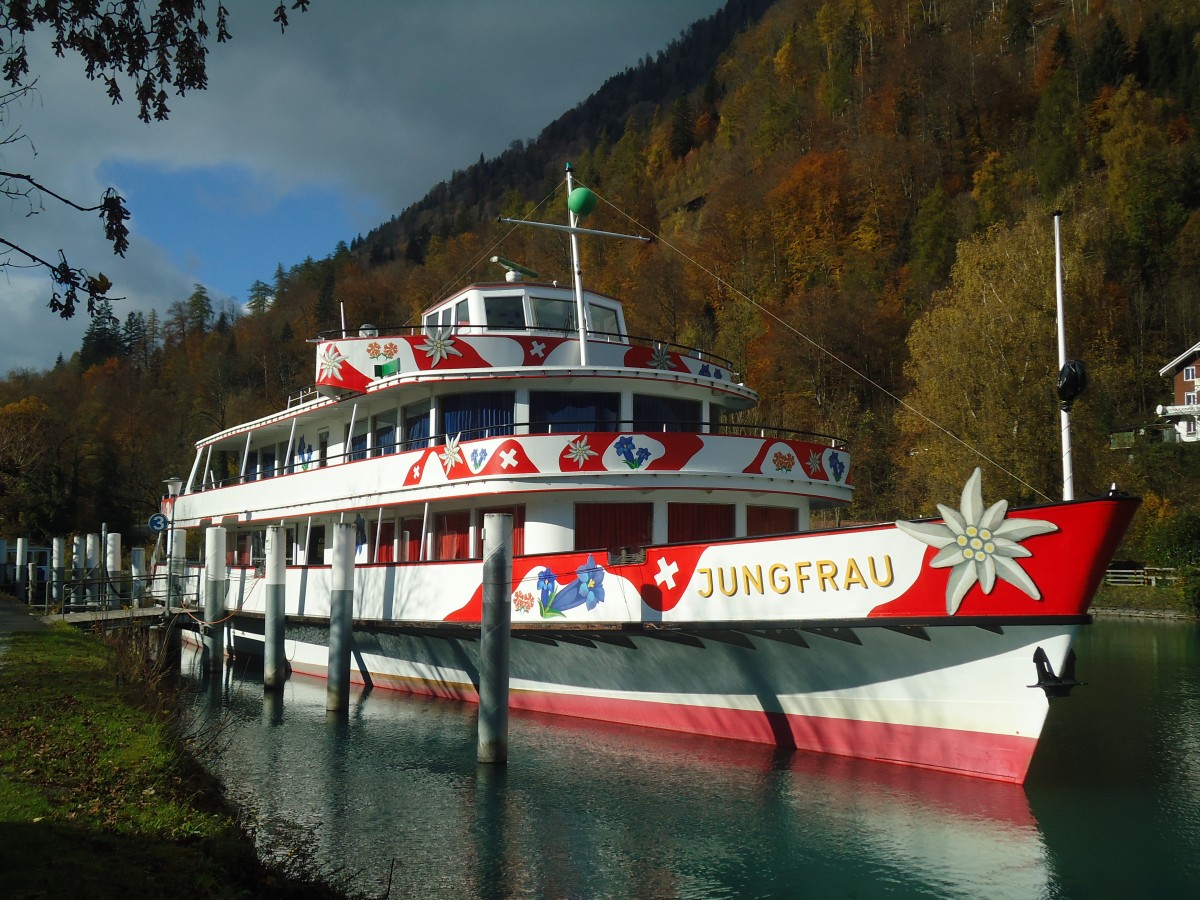 (148'047) - Motorschiff Jungfrau am 11. November 2013 an der Schiffl�ndte Interlaken Ost