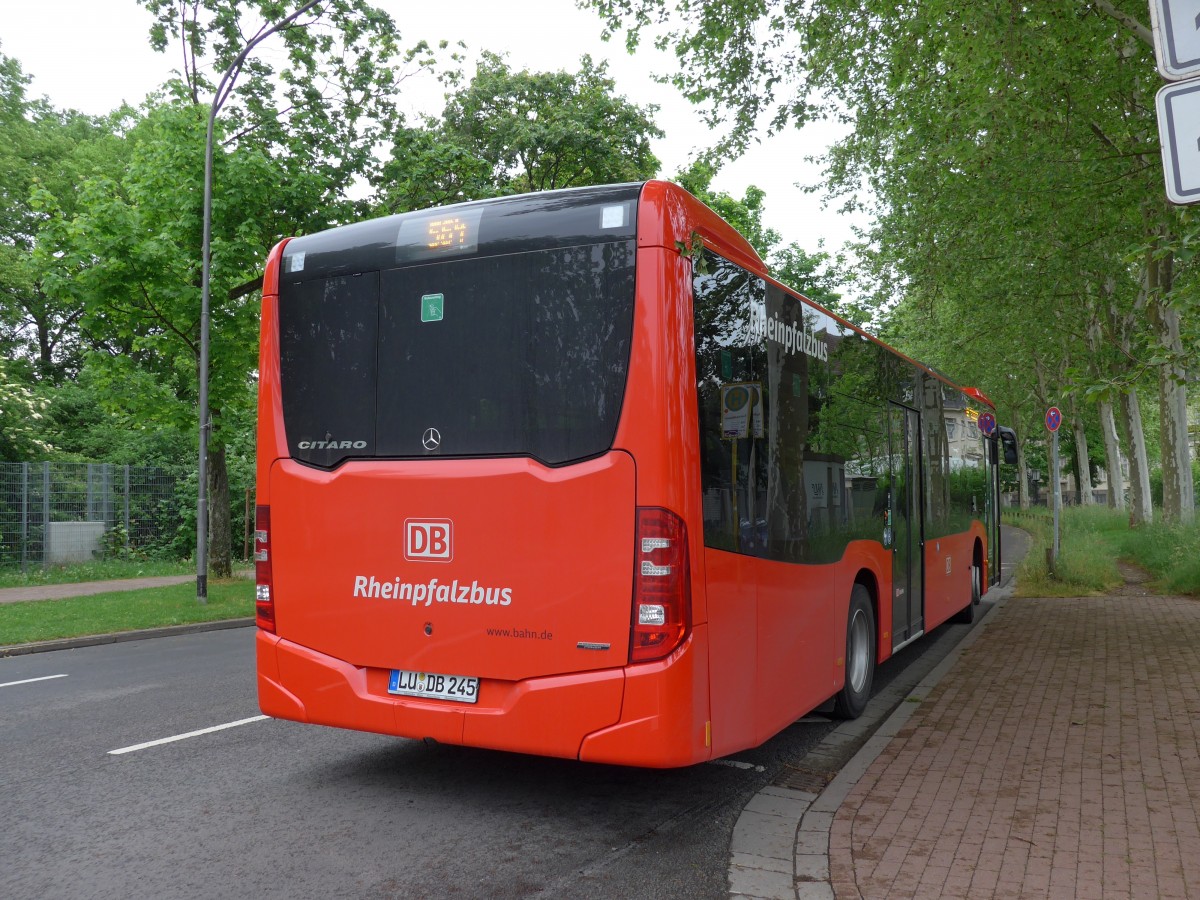 (150'130) - Rheinpfalzbus, Ludwigshafen - LU-DB 245 - Mercedes am 26. April 2014 in Speyer, Technik-Museum