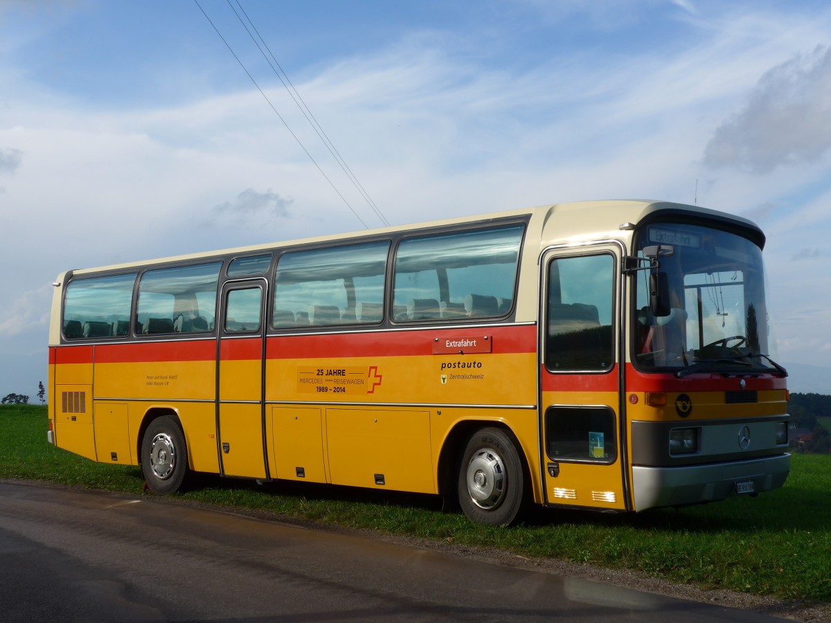 (155'551) - Buzzi, Bern - BE 910'789 - Mercedes (ex Mattli, Wassen) am 5. Oktober 2014 in Kaltacker, Lueg