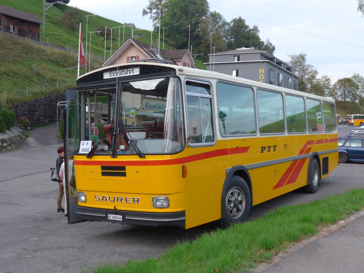 (155'677) - Thommen, Sutz - BE 288'066 - Saurer/Hess (ex P 24'202) am 12. Oktober 2014 in Kssnacht, Rest. Frohsinn