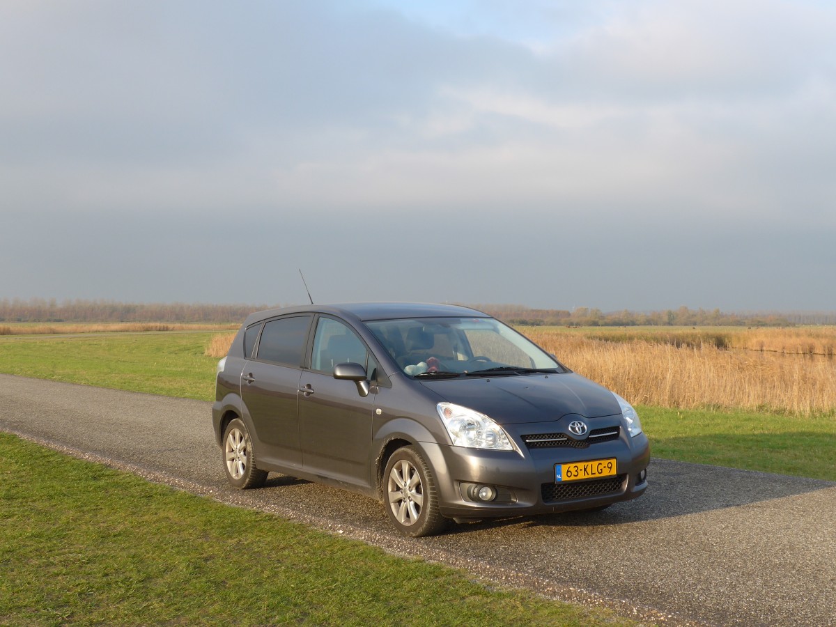 (156'867) - Toyota - 63-KLG-9 - am 19. November 2014 im Nationalpark von Lauwersmeer