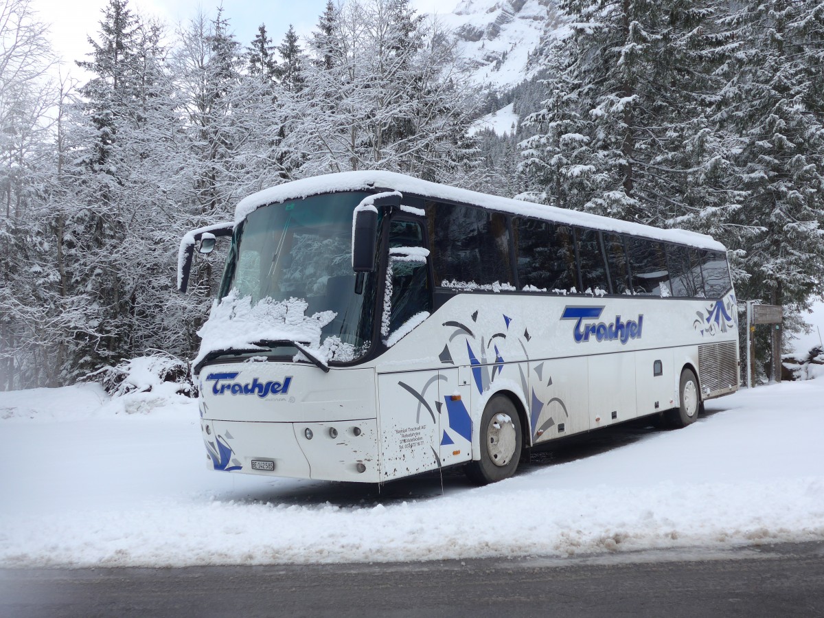 (158'318) - Trachsel, Adelboden - BE 141'585 - Bova am 11. Januar 2015 in Adelboden, Unter dem Birg