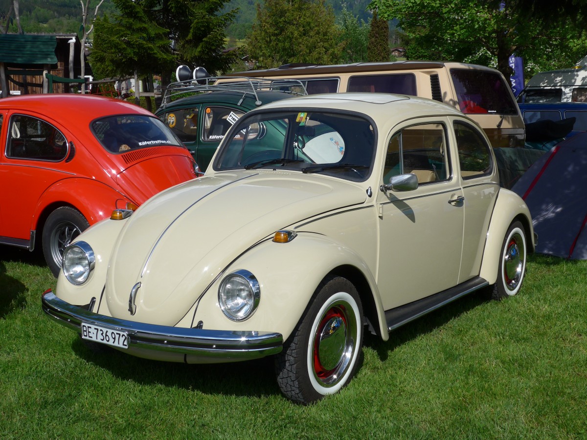 (160'331) - VW-K�fer - BE 736'972 - am 9. Mai 2015 in Brienz, Camping Aaregg
