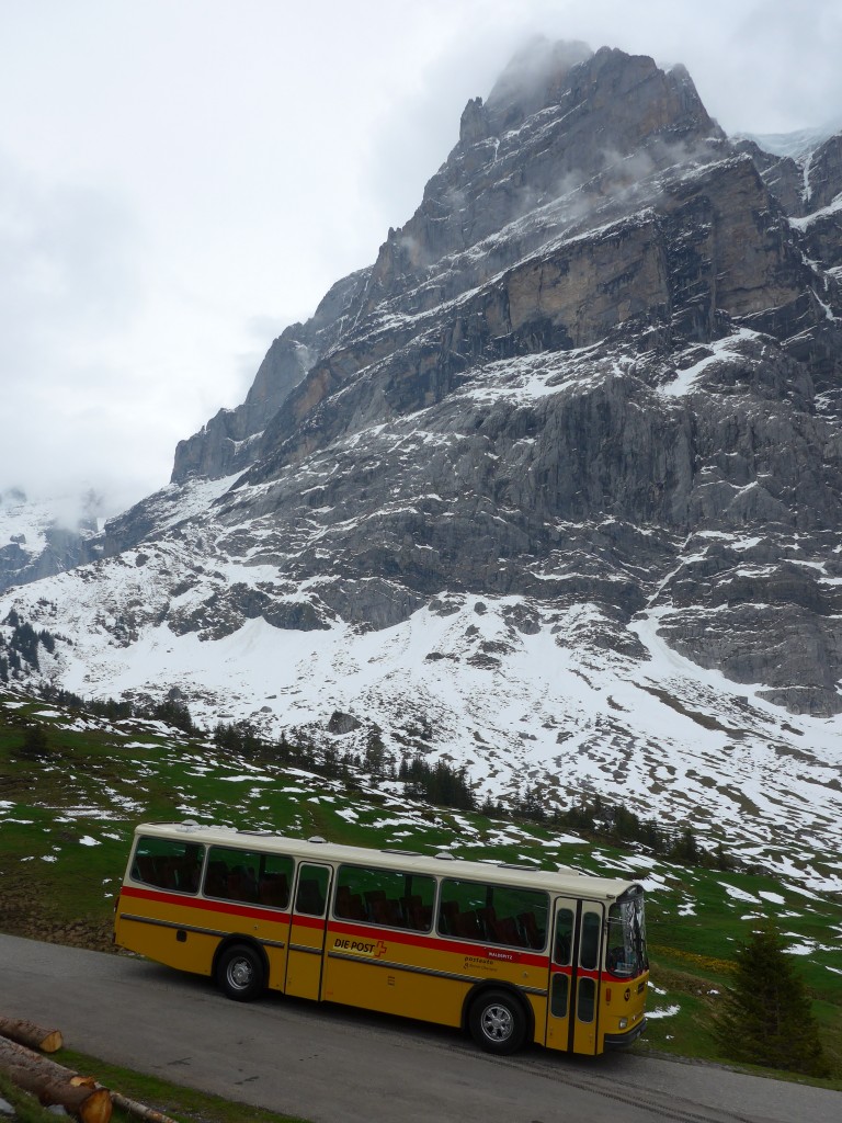 (161'013) - AVG Meiringen - Nr. 74/BE 607'481 - Saurer/R&J (ex PostAuto Berner Oberland; ex P 24'357) am 25. Mai 2015 in Grindelwald, Oberer Lauchbhl