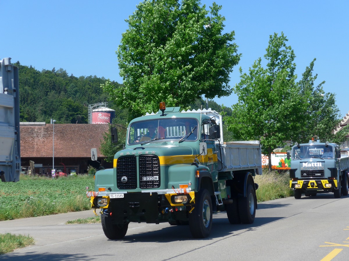 (161'838) - Stutz, Frauenfeld - TG 11'585 - Saurer am 6. Juni 2015 in Thayngen, Saurertreffen
