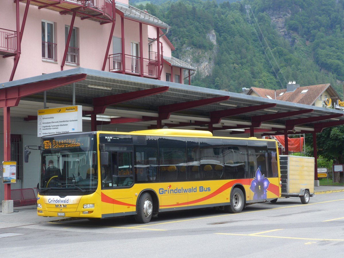 (162'403) - AVG Grindelwald - Nr. 14/BE 202'568 - MAN/Gppel am 20. Juni 2015 in Meiringen, Postautostation