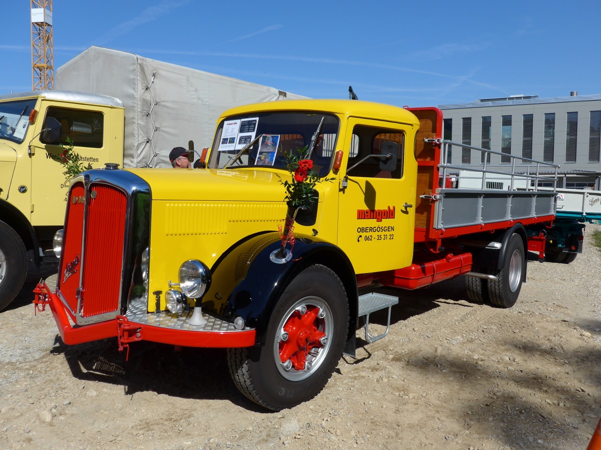 (163'964) - Mangold, Oberg�sgen - SO 73'582 - Berna am 29. August 2015 in Oberkirch, CAMPUS Sursee