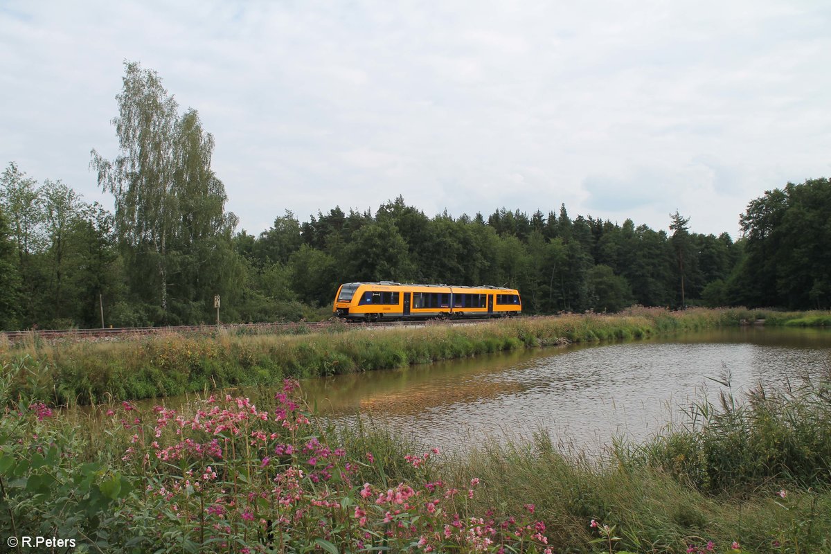 1648iger der OPB auf dem Weg nach Marktredwitz kurz vor Wiesau. 29.07.18