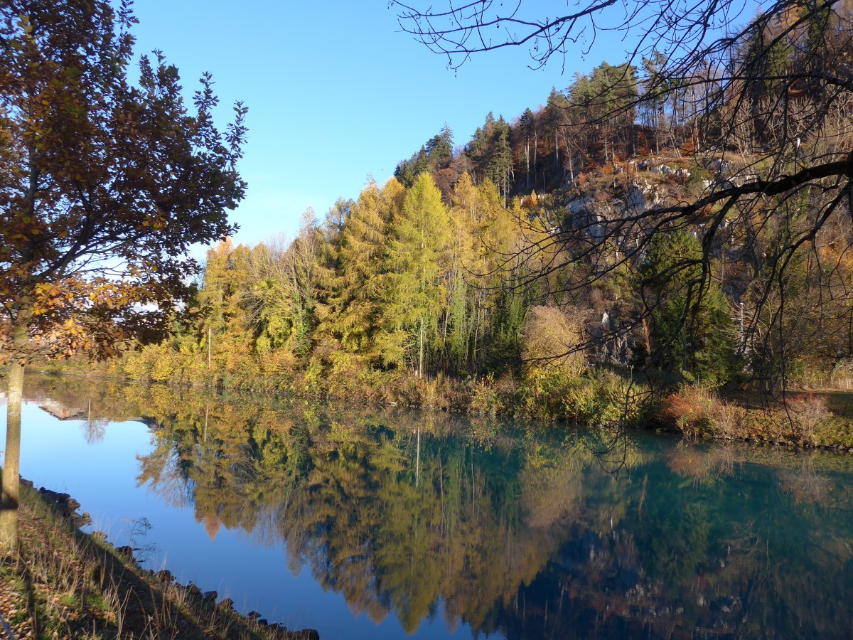 (166'594) - Herbststimmung an der Aare am 8. November 2015 bei Unterseen/Interlaken
