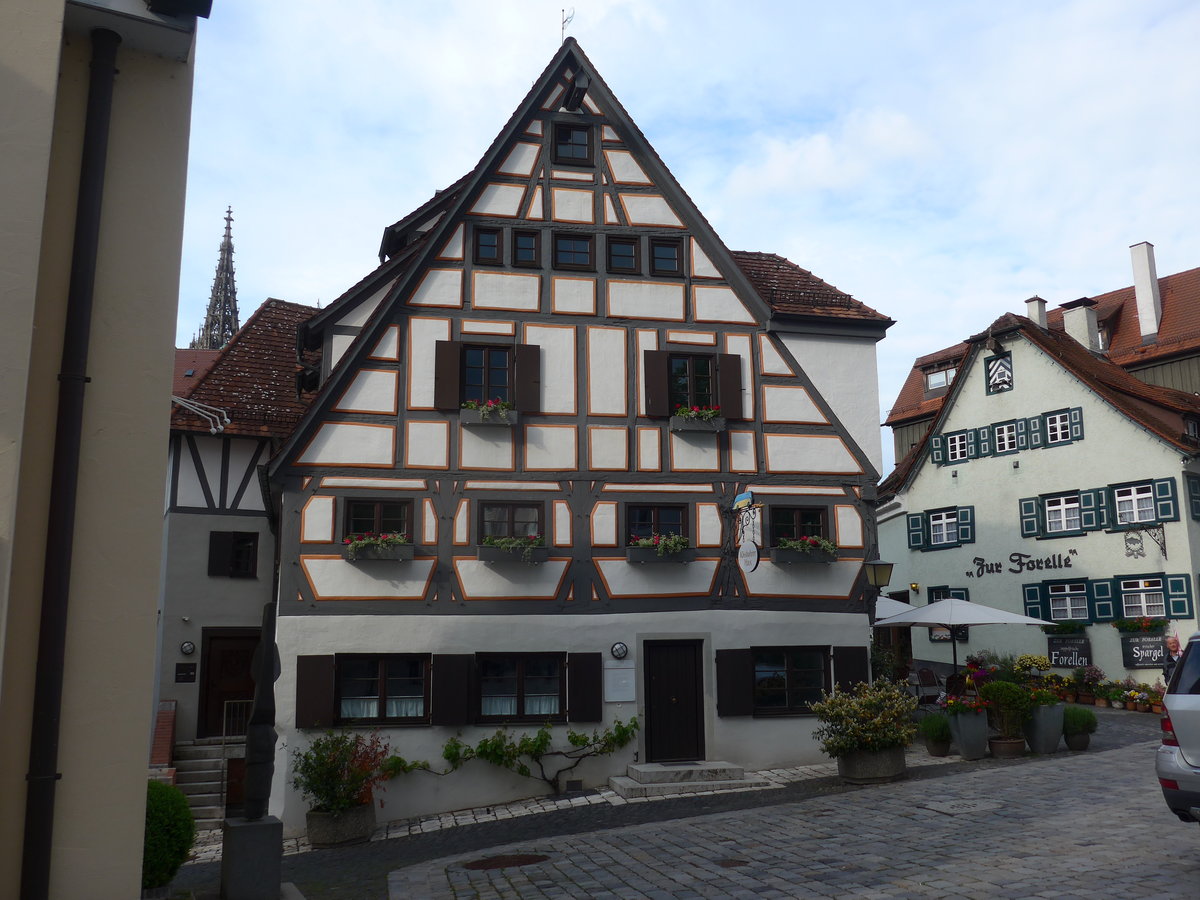 (171'030) - K�ssbohrer Haus am 19. Mai 2016 in Ulm