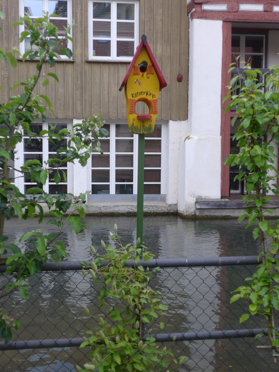 (171'033) - Kunst:  Katzenkino  am 19. Mai 2016 in Ulm
