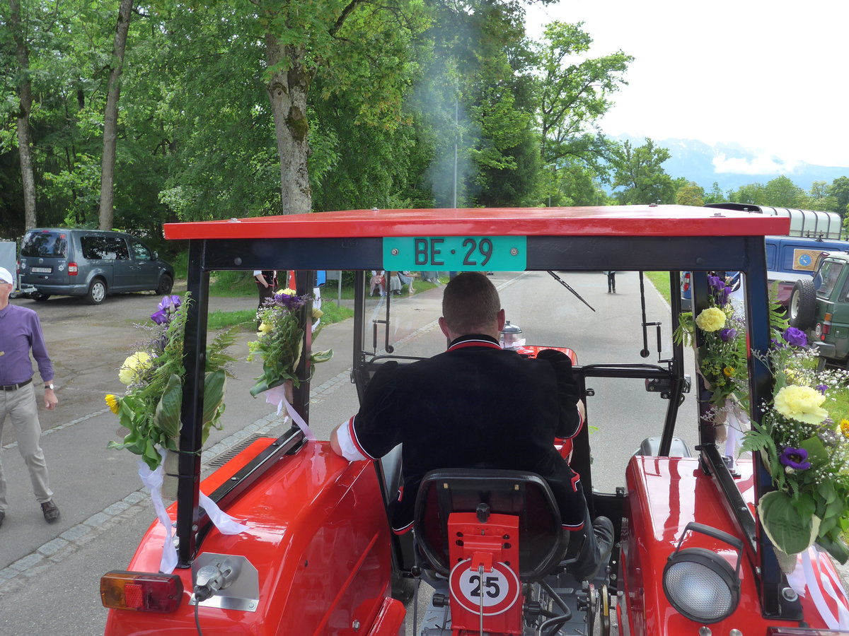 (171'657) - Massey-Ferguson - BE 29 - am 5. Juni 2016 am Jodlerfest in Steffisburg