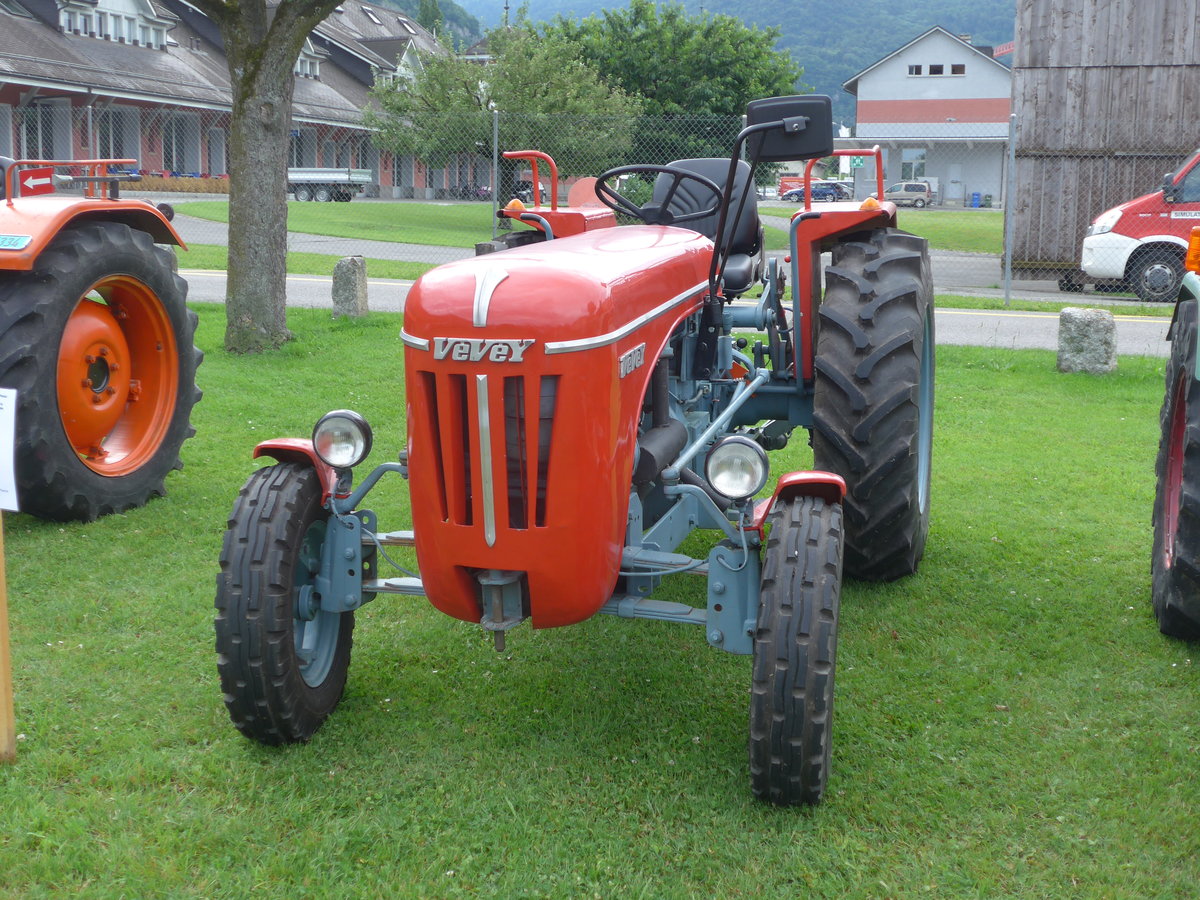 (172'039) - Vevey - VD 1746 - am 25. Juni 2016 in Aigle, Saurertreffen