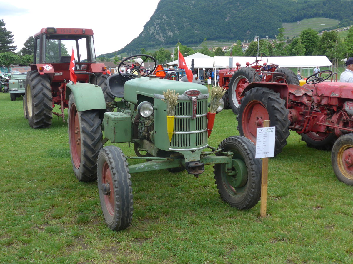 (172'061) - B�hrer - am 25. Juni 2016 in Aigle, Saurertreffen