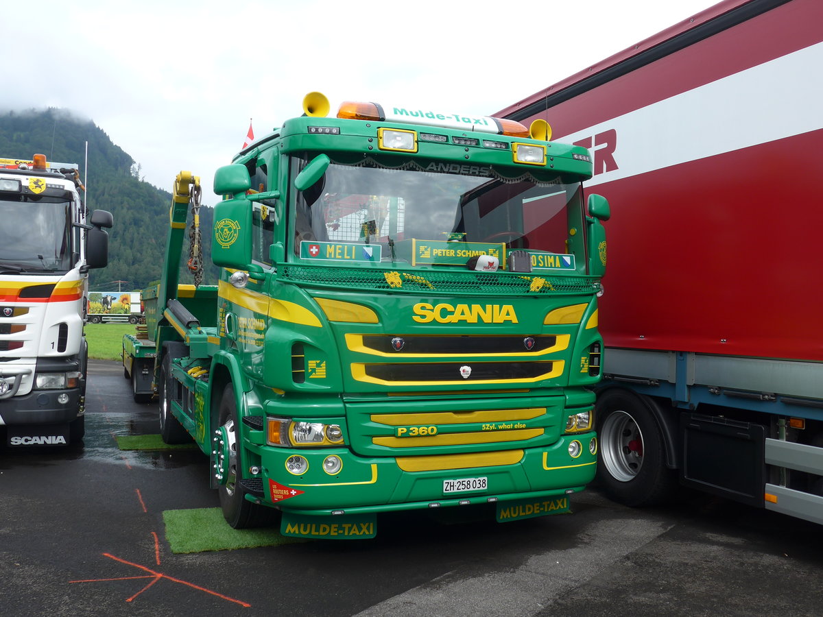 (172'330) - Schmid, Affoltern a.A. - ZH 258'038 - Scania am 26. Juni 2016 in Interlaken, Flugplatz