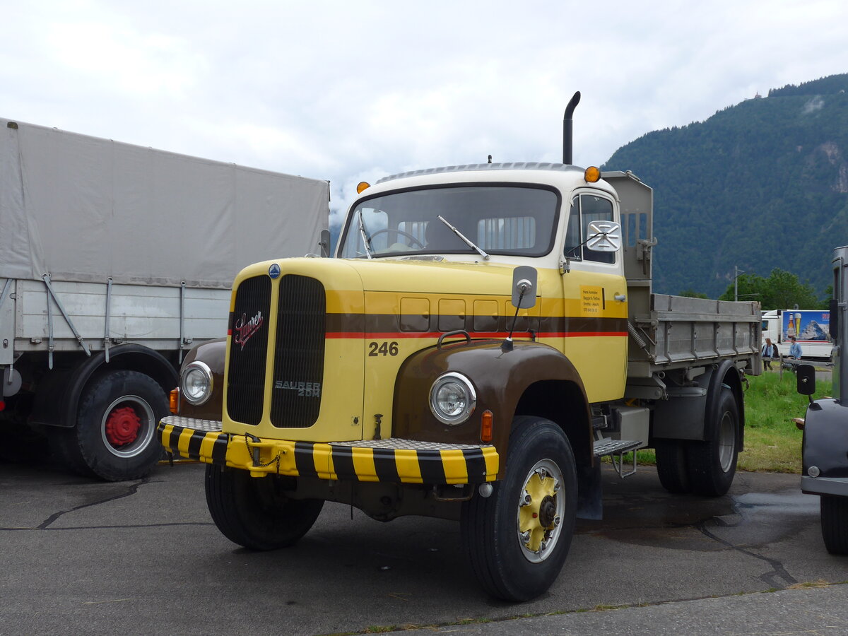 (172'449) - Ammeter, Emdthal - Nr. 246 - Saurer (ex STI Thun Nr. 246; ex STI Nr. 146) am 26. Juni 2016 in Interlaken, Flugplatz