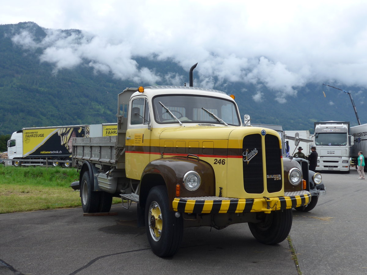 (172'450) - Ammeter, Emdtal - Nr. 246 - Saurer (ex STI Thun Nr. 246) am 26. Juni 2016 in Interlaken, Flugplatz