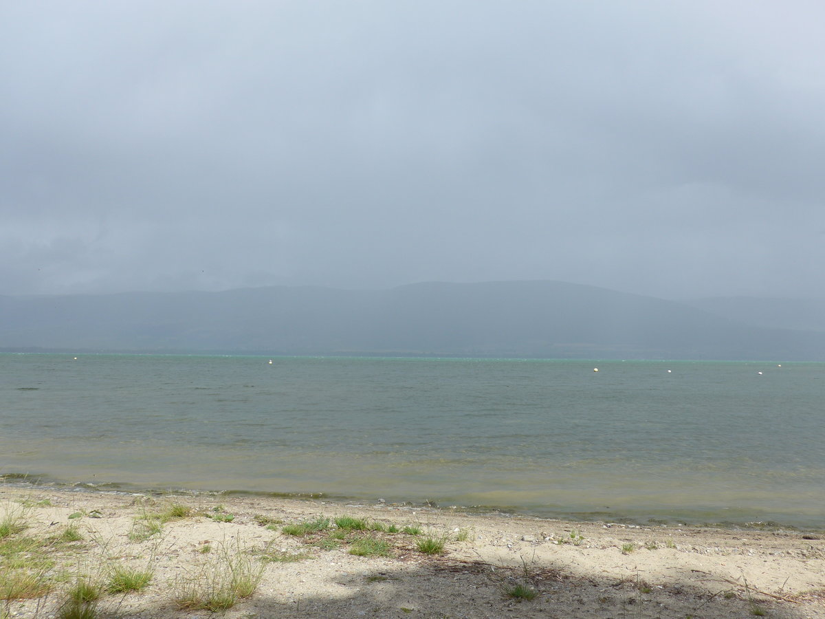 (172'892) - Am Neuenburgersee am 13. Juli 2016 bei Yvonand