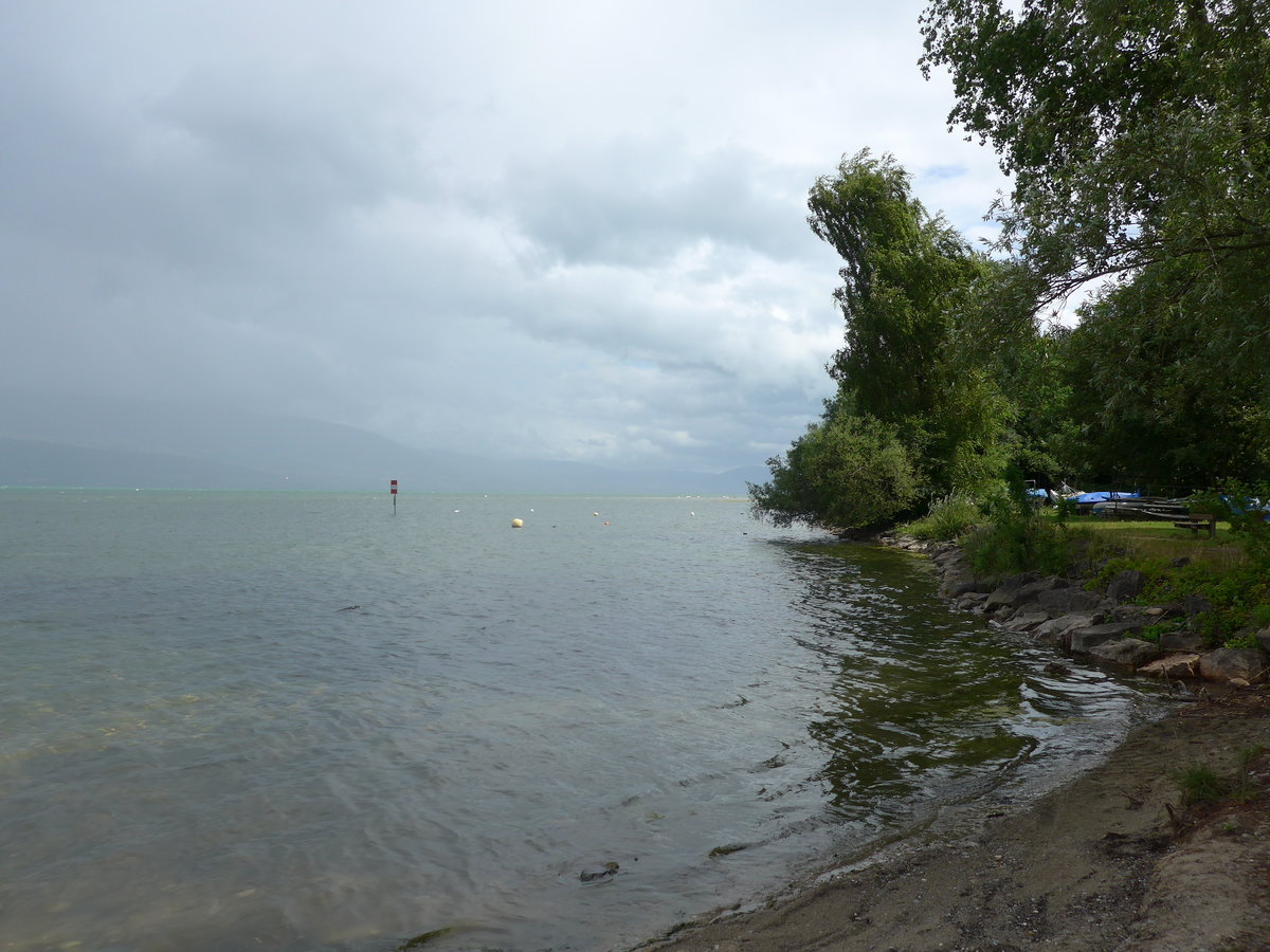 (172'895) - Am Neuenburgersee am 13. Juli 2016 bei Yvonand