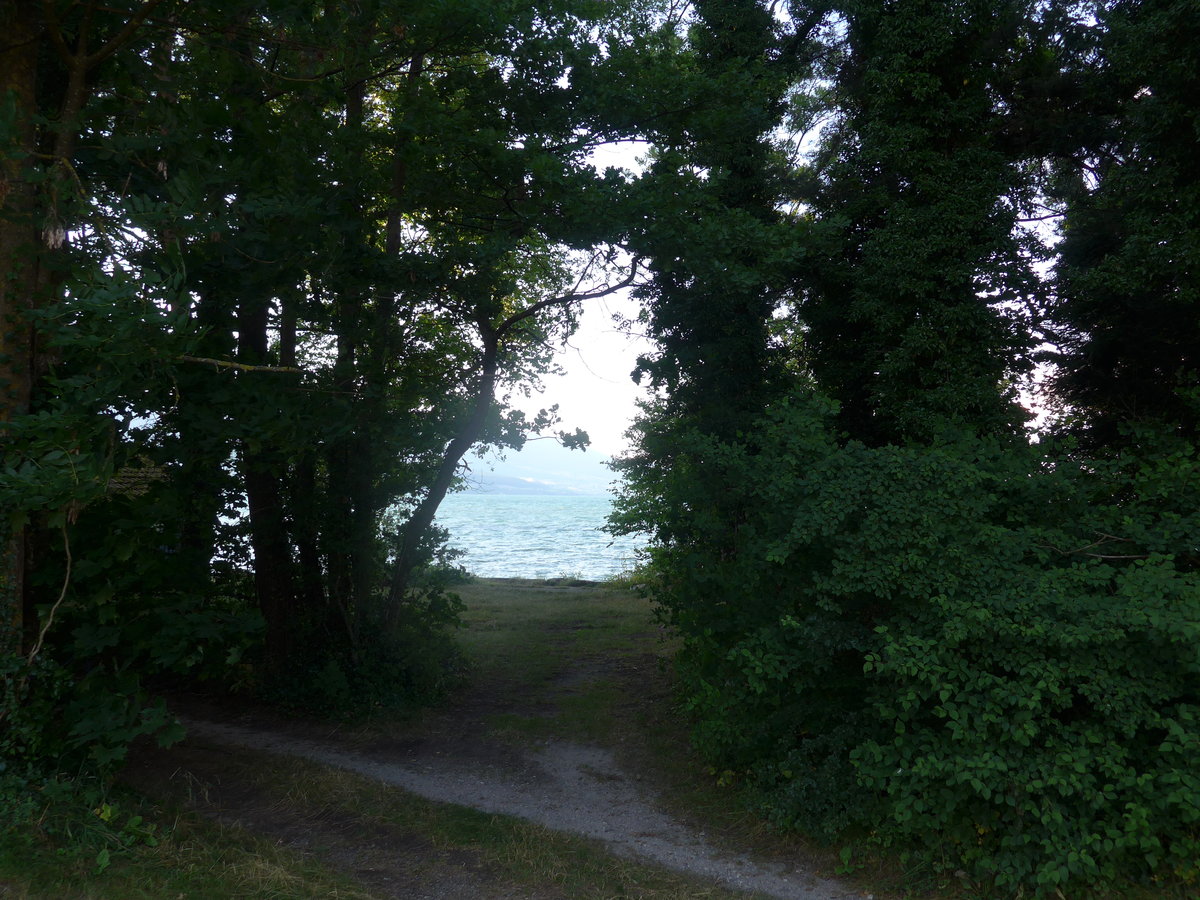(173'049) - Blick auf den Neuenburgersee am 15. Juli 2016 bei Yvonand