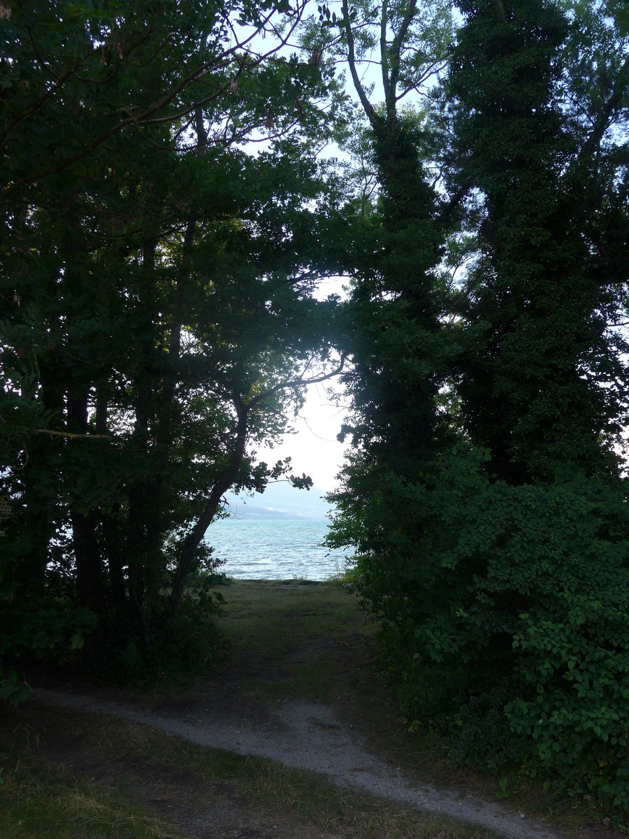 (173'050) - Blick auf den Neuenburgersee am 15. Juli 2016 bei Yvonand
