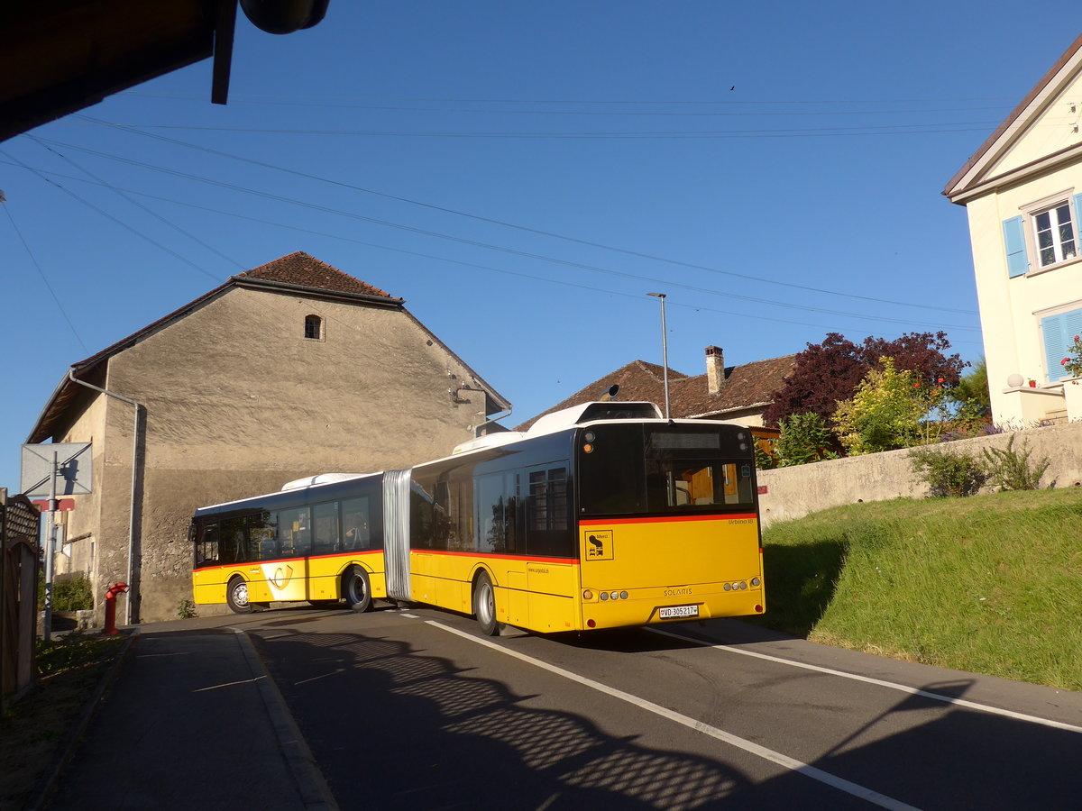 (173'160) - CarPostal Ouest - VD 305'217 - Solaris am 20. Juli 2016 in Rances, Bifurcation