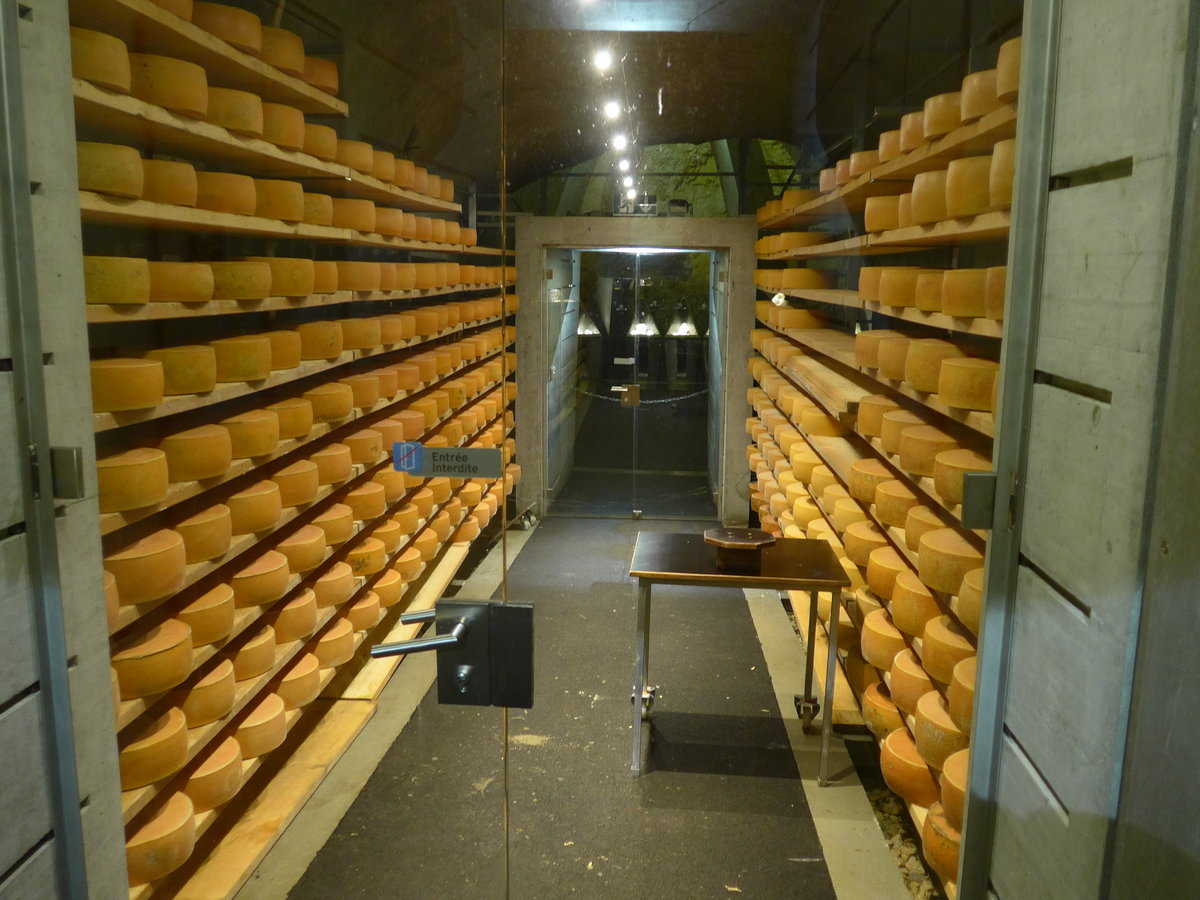 (173'205) - K�sekeller am 20. Juli 2016 in den Grotten von Vallorbe