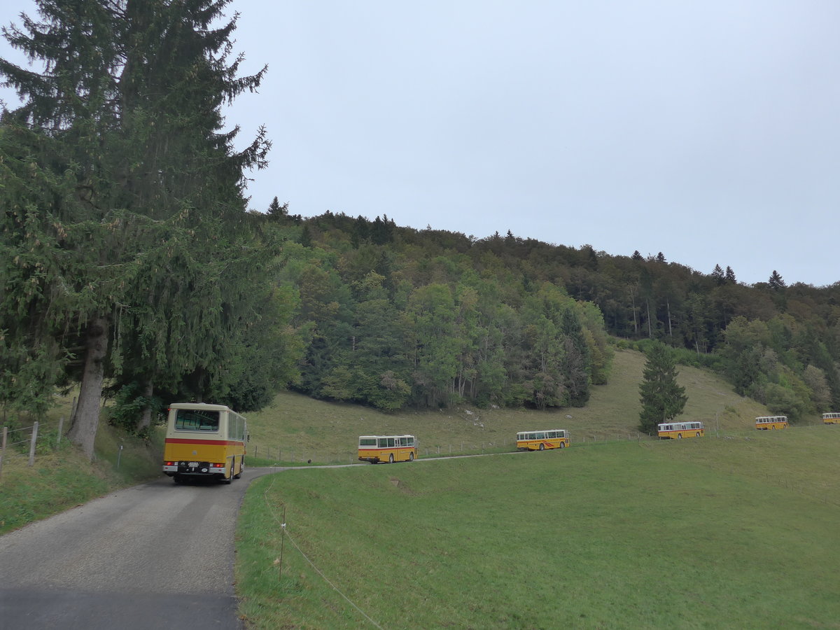 (175'348) - Aebi, Koppigen - Nr. 11/BE 144'361 - Saurer/Lauber (ex Leuenberger, Kirchberg; ex Niederer, Filzbach Nr. 11) am 2. Oktober 2016 am Scheltenpass (Solothurnerseite) und 5 weitere RH's