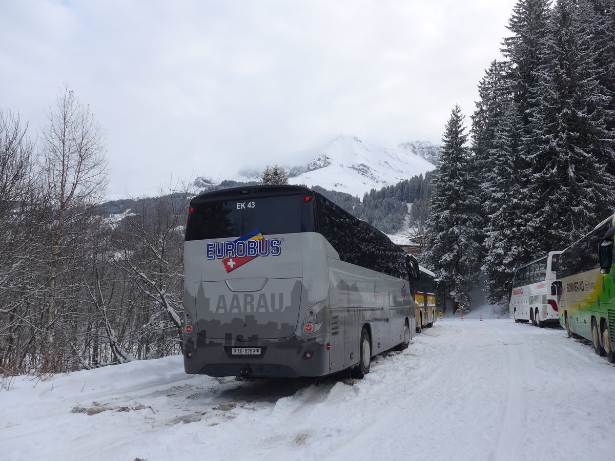 (177'937) - Knecht, Windisch - Nr. 43/AG 8289 - VDL am 8. Januar 2017 in Adelboden, ASB