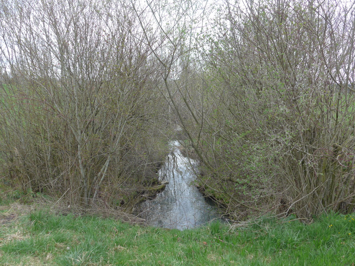 (179'259) - B�chli und Str�ucher am 1. April 2017 in Vendlincourt