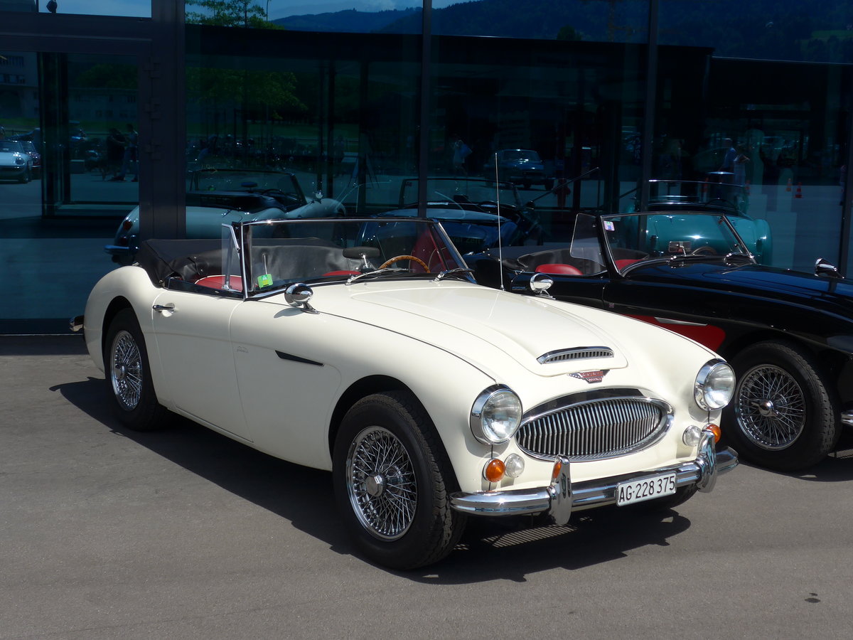 (180'878) - Austin-Healey - AG 228'375 - am 28. Mai 2017 in Luzern, Allmend