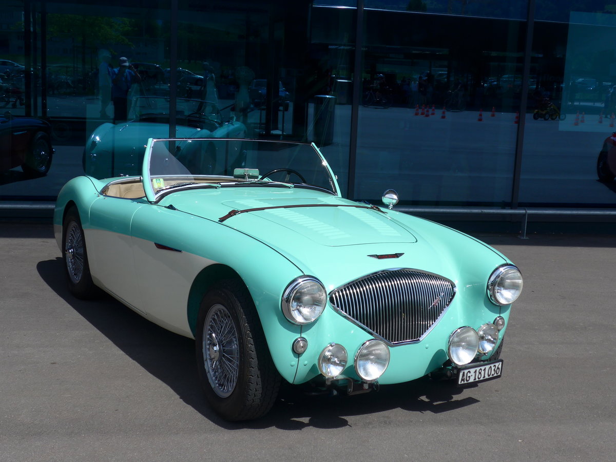 (180'880) - Austin-Healey - AG 181'036 - am 28. Mai 2017 in Luzern, Allmend