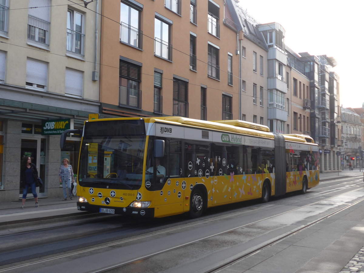 (183'120) - DVB Dresden - Nr. 462'005/DD-VB 6205 - Mercedes am 9. August 2017 in Dresden, Schillerplatz